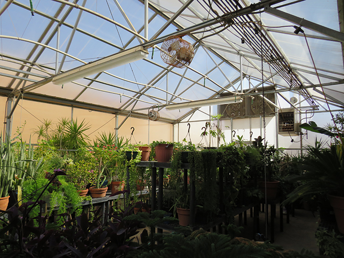 Greenhouse