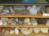 Geology Lab Samples